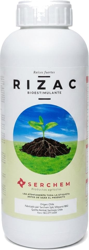 Rizac