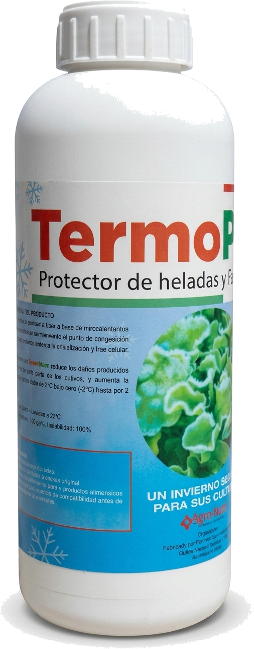 Termoplant